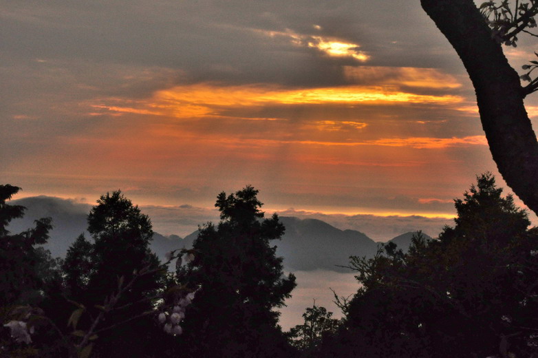 <a href='http://m.zhuangxiu888.com/lvyou/view/224' title='阿里山' style='color:blue;font-size:14px;'>阿里山</a> 日出