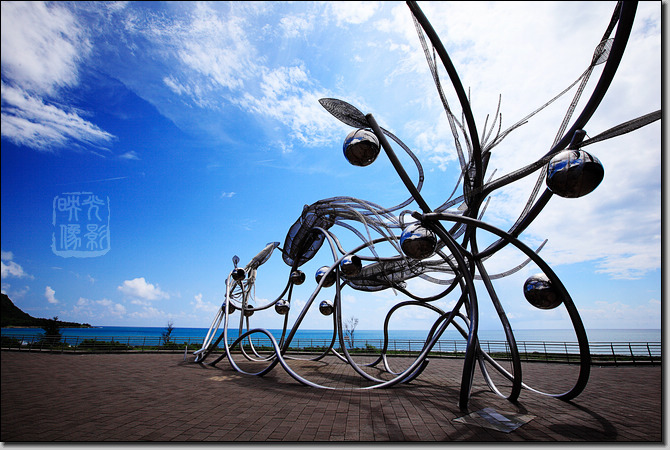 海洋生物博物館