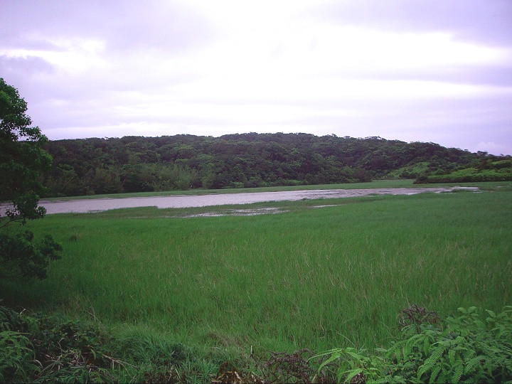 <a href='http://m.zhuangxiu888.com/lvyou/view/235' title='南仁山' style='color:blue;font-size:14px;'>南仁山</a>生態保護區