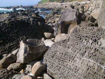 南仁山生態保護區