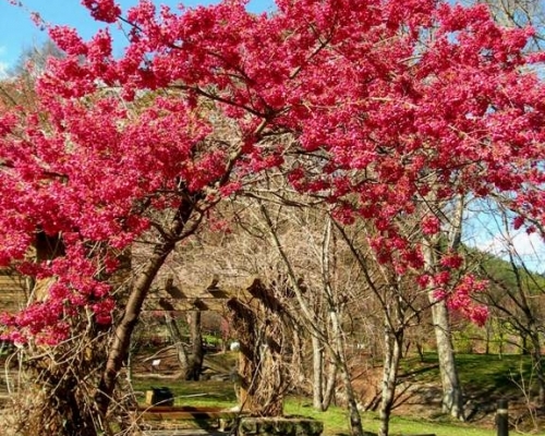 武陵農(nóng)場(chǎng)