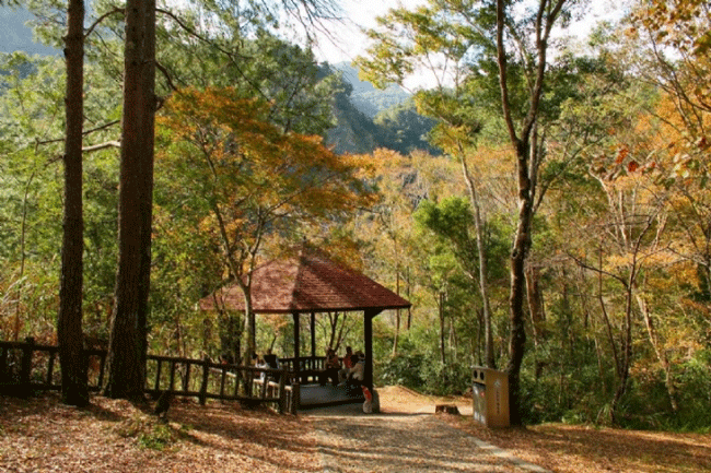 南投<a href='http://m.zhuangxiu888.com/lvyou/view/596' title='奧萬' style='color:blue;font-size:14px;'>奧萬</a>大森林