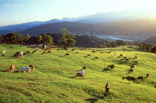 臺東花東縱谷風景區(qū)