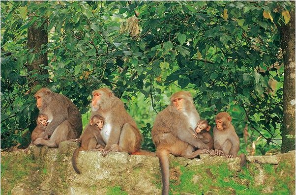 臺南西拉雅風(fēng)景區(qū)