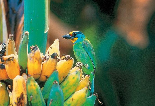 臺南西拉雅風(fēng)景區(qū)