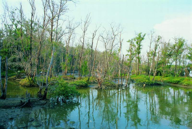 好美寮自然保護區