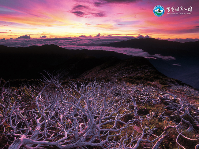 夕陽下的雪霸公園風景區