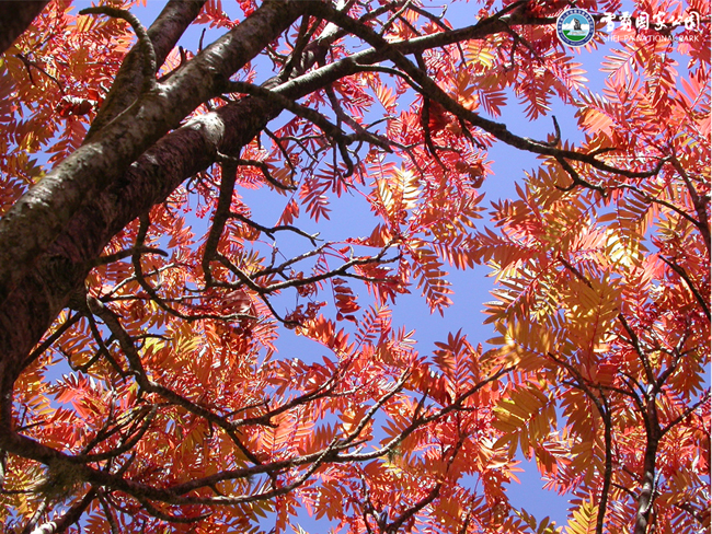 雪霸公園風景區