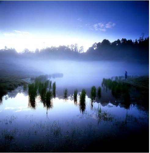 太平山森林游樂區
