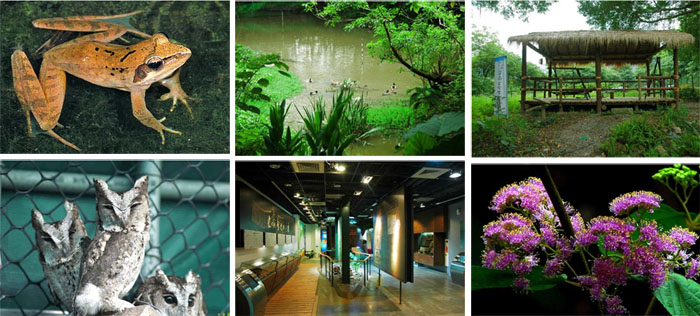 芝山文化生態綠園