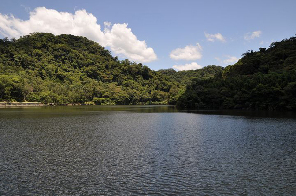 桃園慈湖
