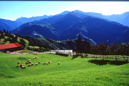 清境農(nóng)場(chǎng)