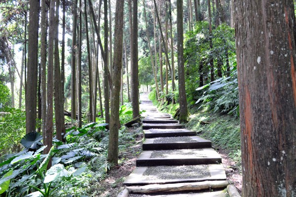 溪頭自然教育園區