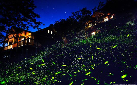 美麗夜晚瑞里風(fēng)景區(qū)