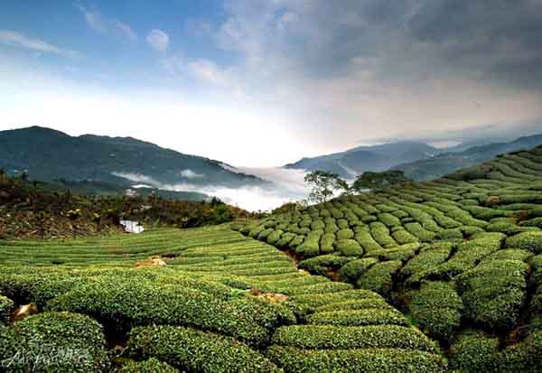 瑞里風(fēng)景區(qū)