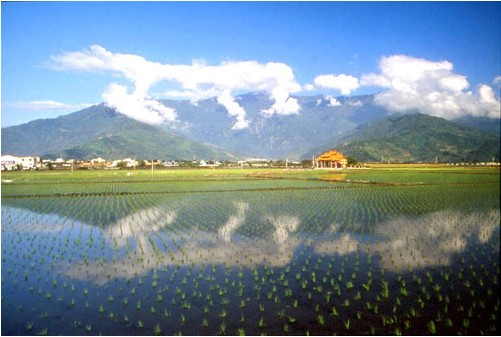 風景如畫的大坡池