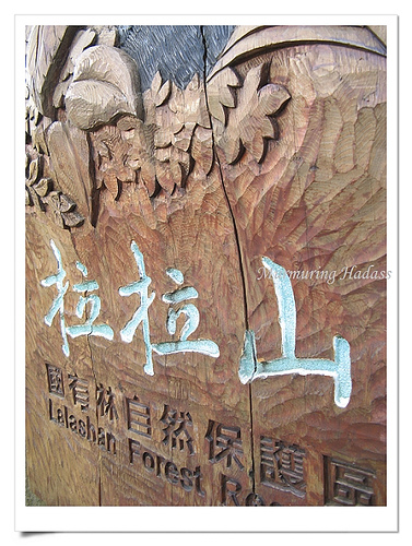 達觀山自然保護區(qū)  