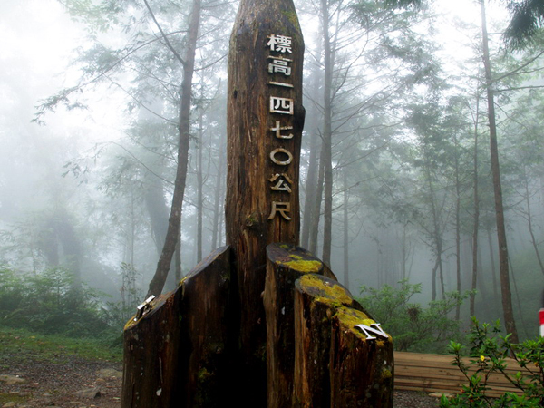 大同鄉(xiāng)棲蘭森林游樂區(qū)