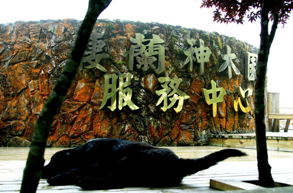 <a href='http://m.zhuangxiu888.com/yilan/2060' title='大同' style='color:blue;font-size:14px;'>大同</a>鄉(xiāng)棲蘭森林游樂區(qū)