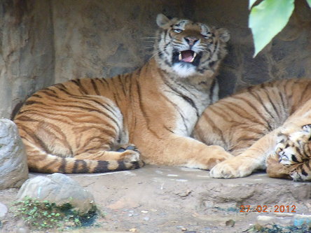 新竹市立動物園