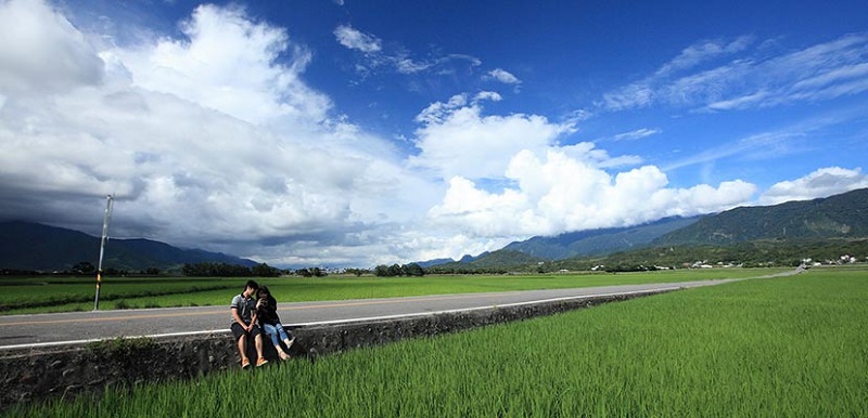 池上鄉伯朗大道，美到讓人們贊嘆不已