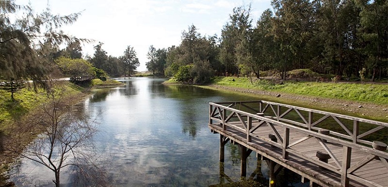 自然形成的天然湖泊琵琶湖，宛如一幅自然畫作