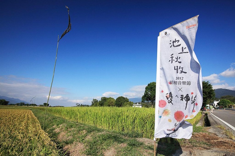 伯朗大道旁邊的金色稻田